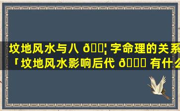 坟地风水与八 🐦 字命理的关系「坟地风水影响后代 🐒 有什么根据」